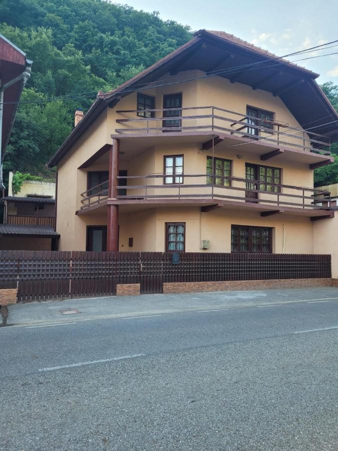 Casa Basu Villa Băile Herculane Exteriör bild