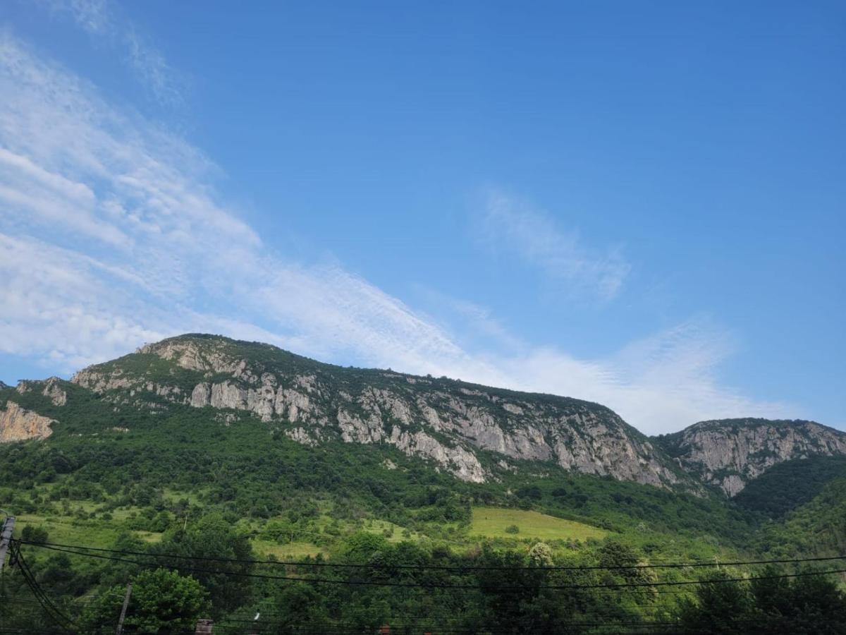 Casa Basu Villa Băile Herculane Exteriör bild