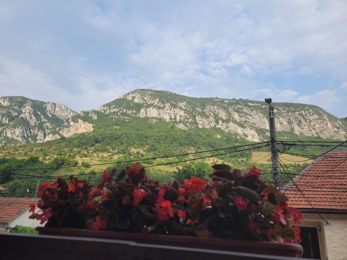 Casa Basu Villa Băile Herculane Exteriör bild