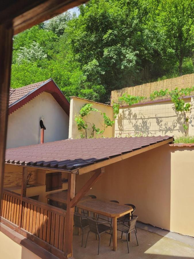 Casa Basu Villa Băile Herculane Exteriör bild